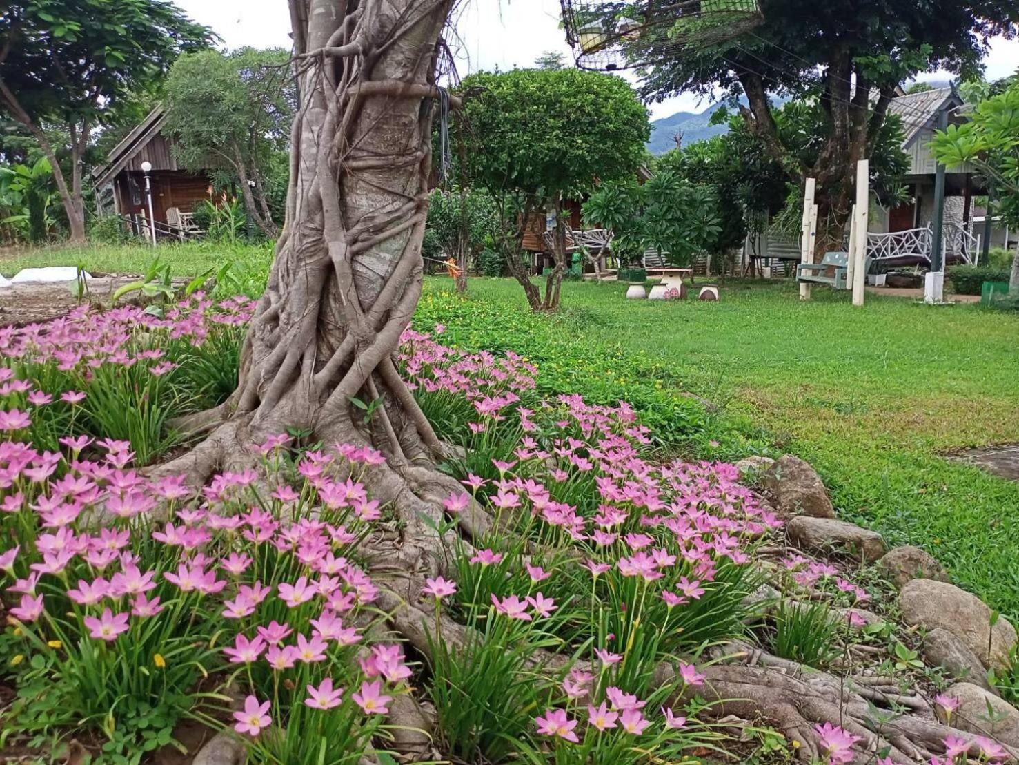Pai Seview ปายซีวิว Hotel Bagian luar foto